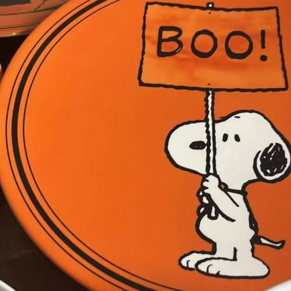 Pottery Barn Peanuts Snoopy Halloween Plate and Bowl 4 set (8 total) Melamine
